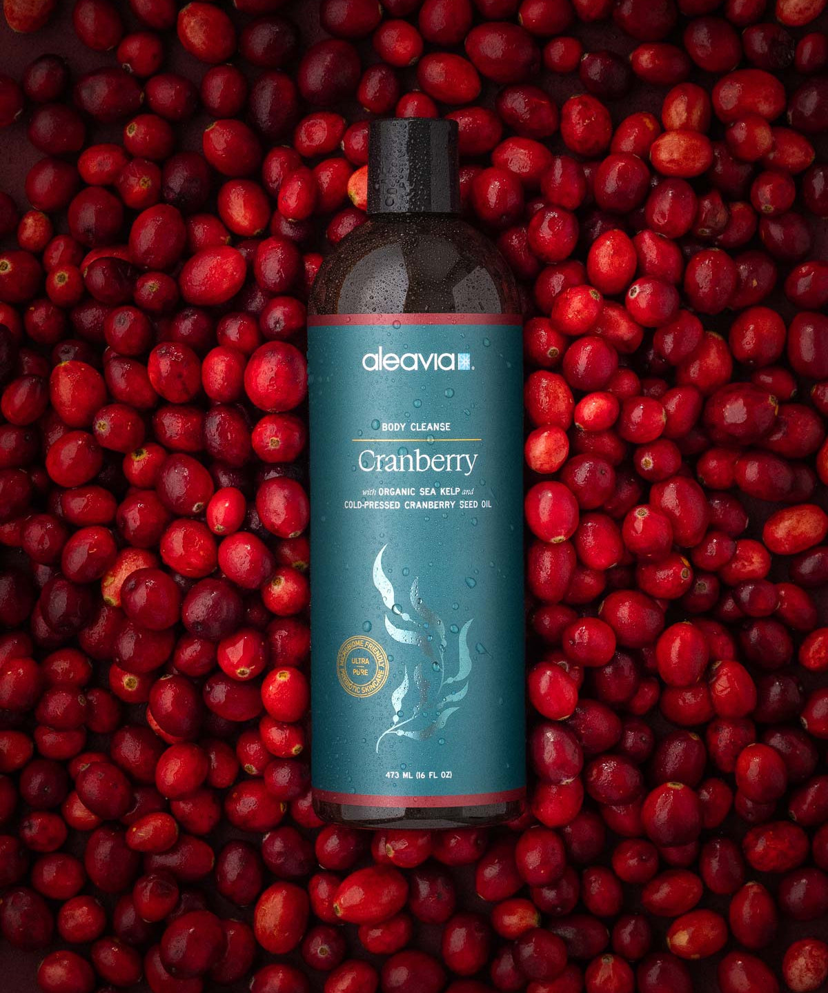 Aleavia Cranberry Body Cleanse | Cranberry Body Wash