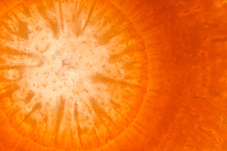 iStock-1133840412_2.jpg