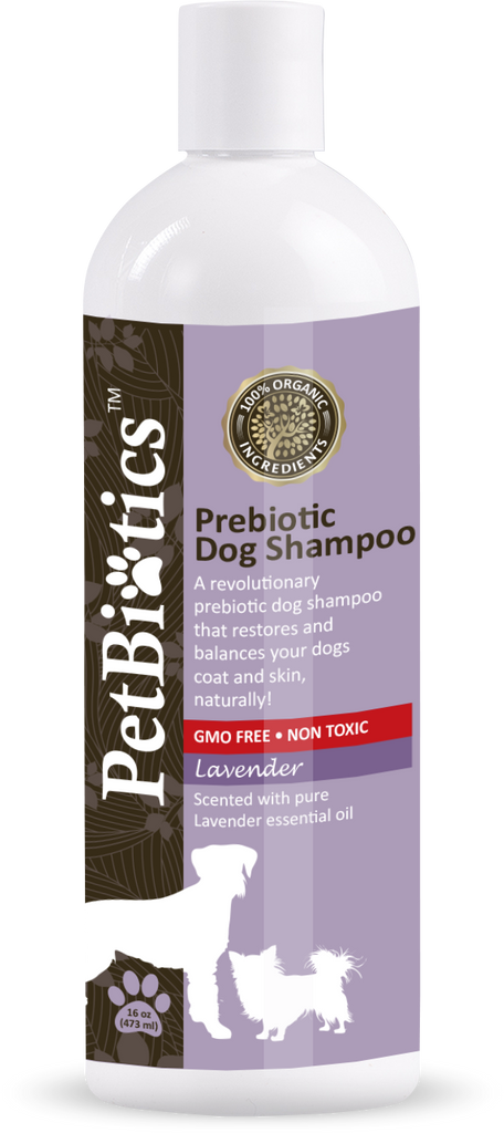 Dogs hot sale and robitussin