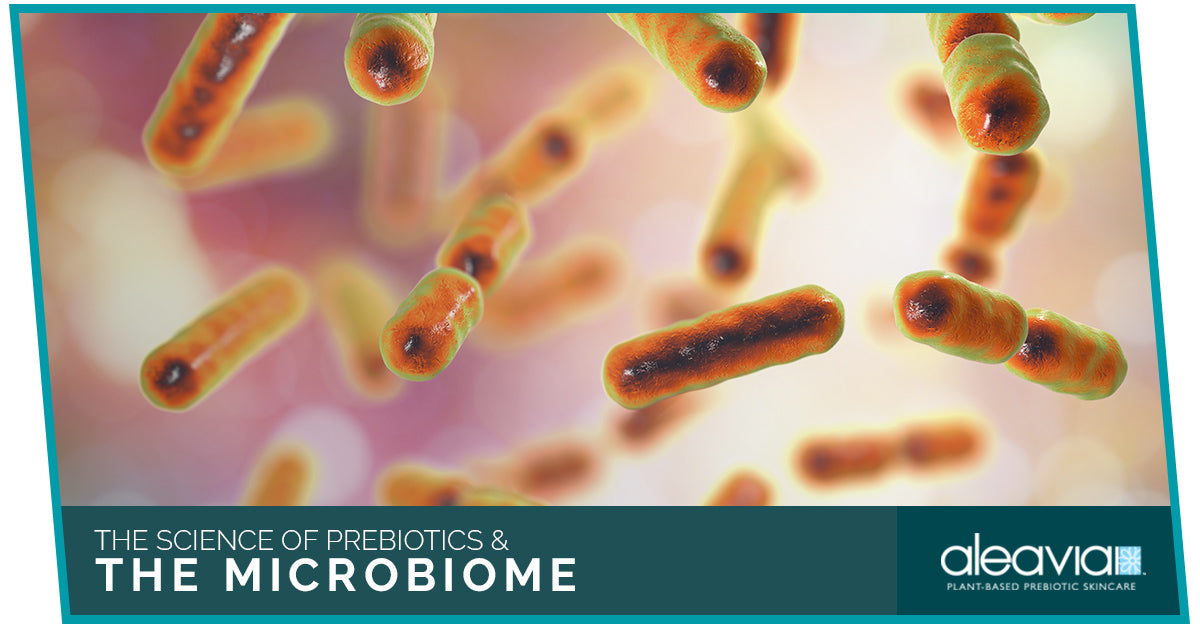 The Science Of Prebiotics & The Microbiome