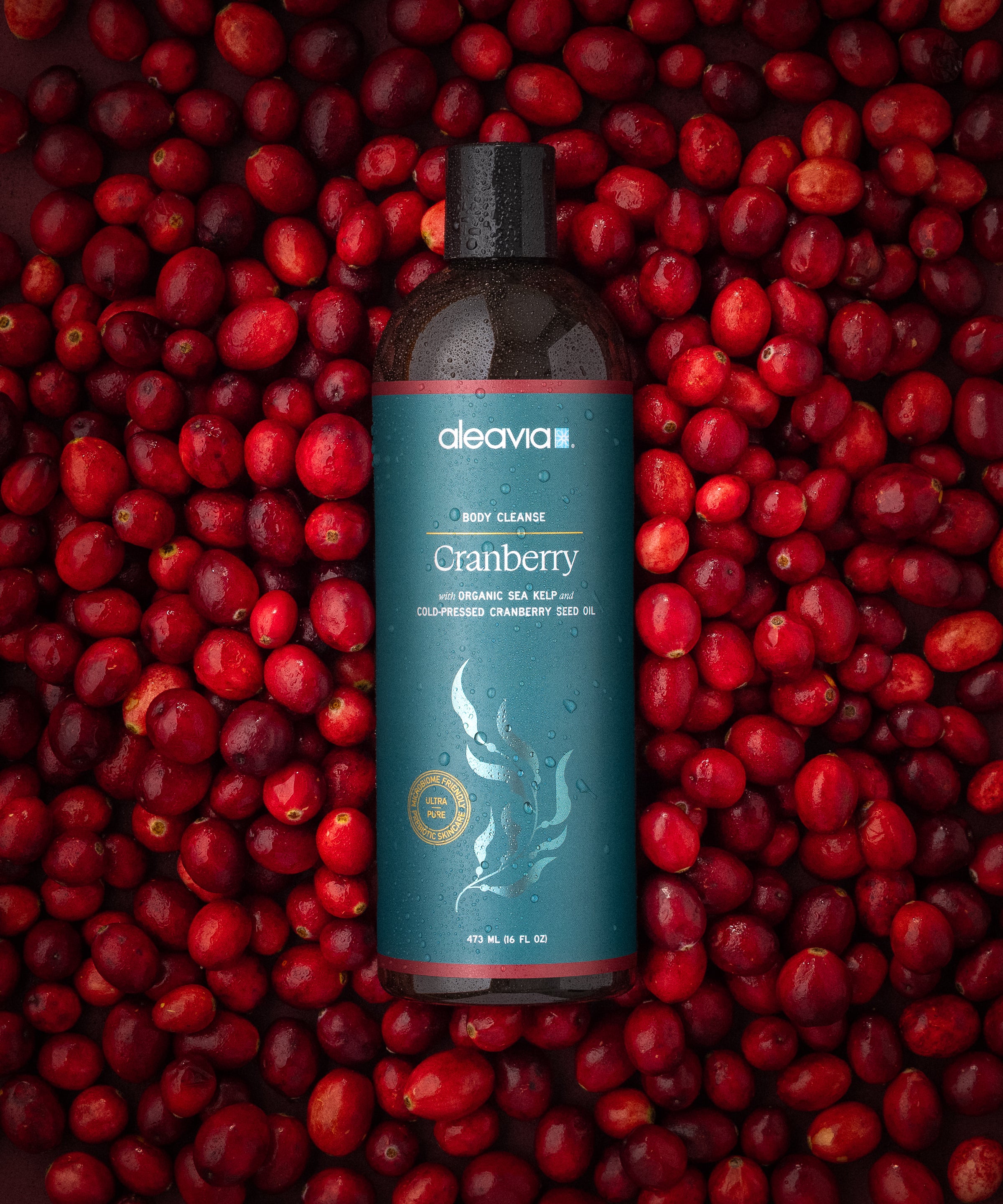 ALE_CRANBERRY-1.jpg