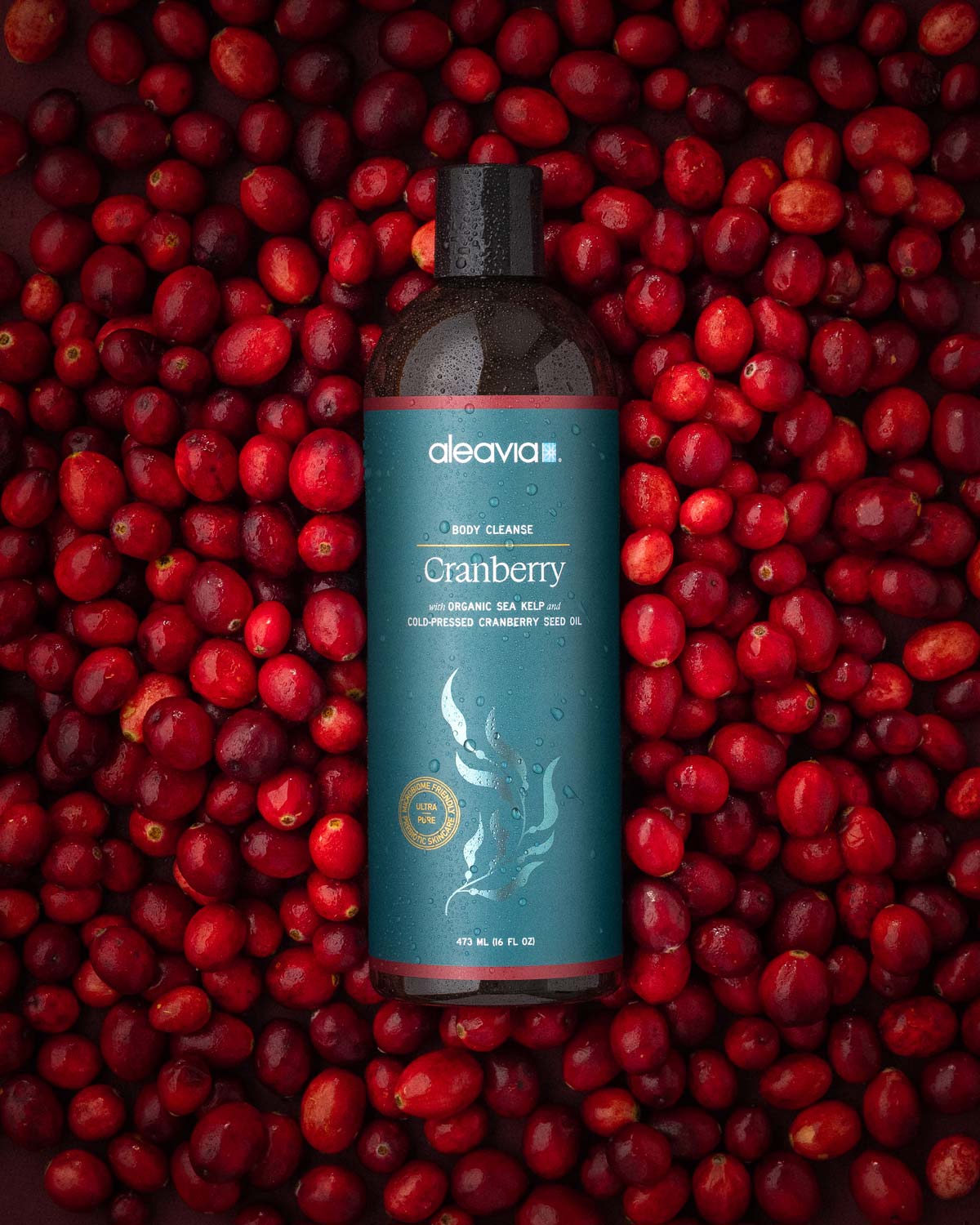 Natural Body Wash with Prebiotic Ingredients – Tagged 