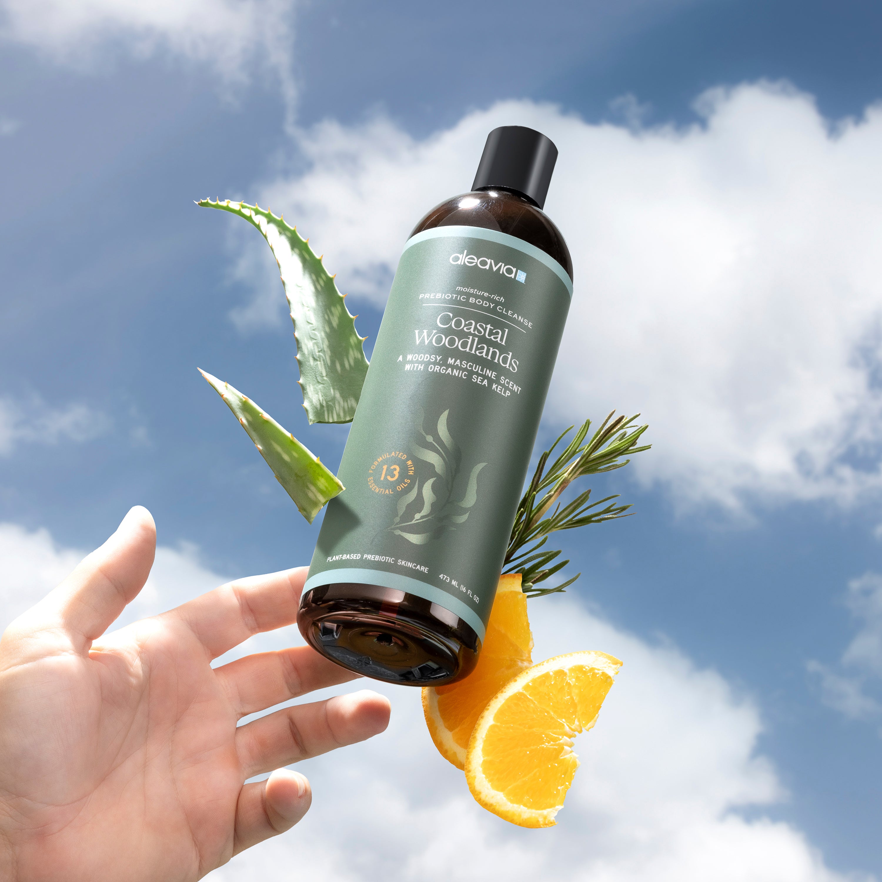 Coastal Woodlands Mens Body Cleanse | Prebiotic Body Wash – Aleavia