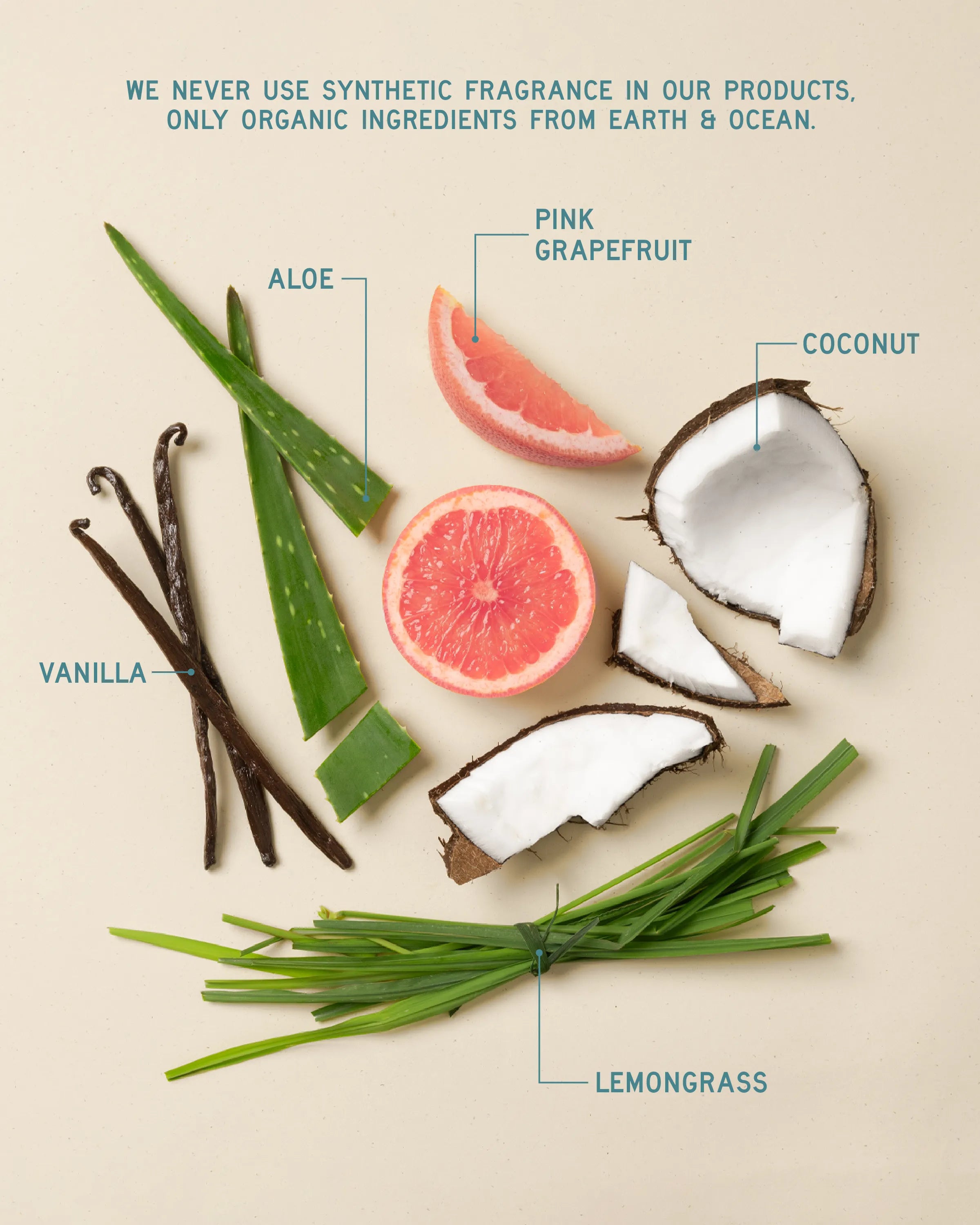 Aleavia Prebiotic ShampooShampoo and Conditioner