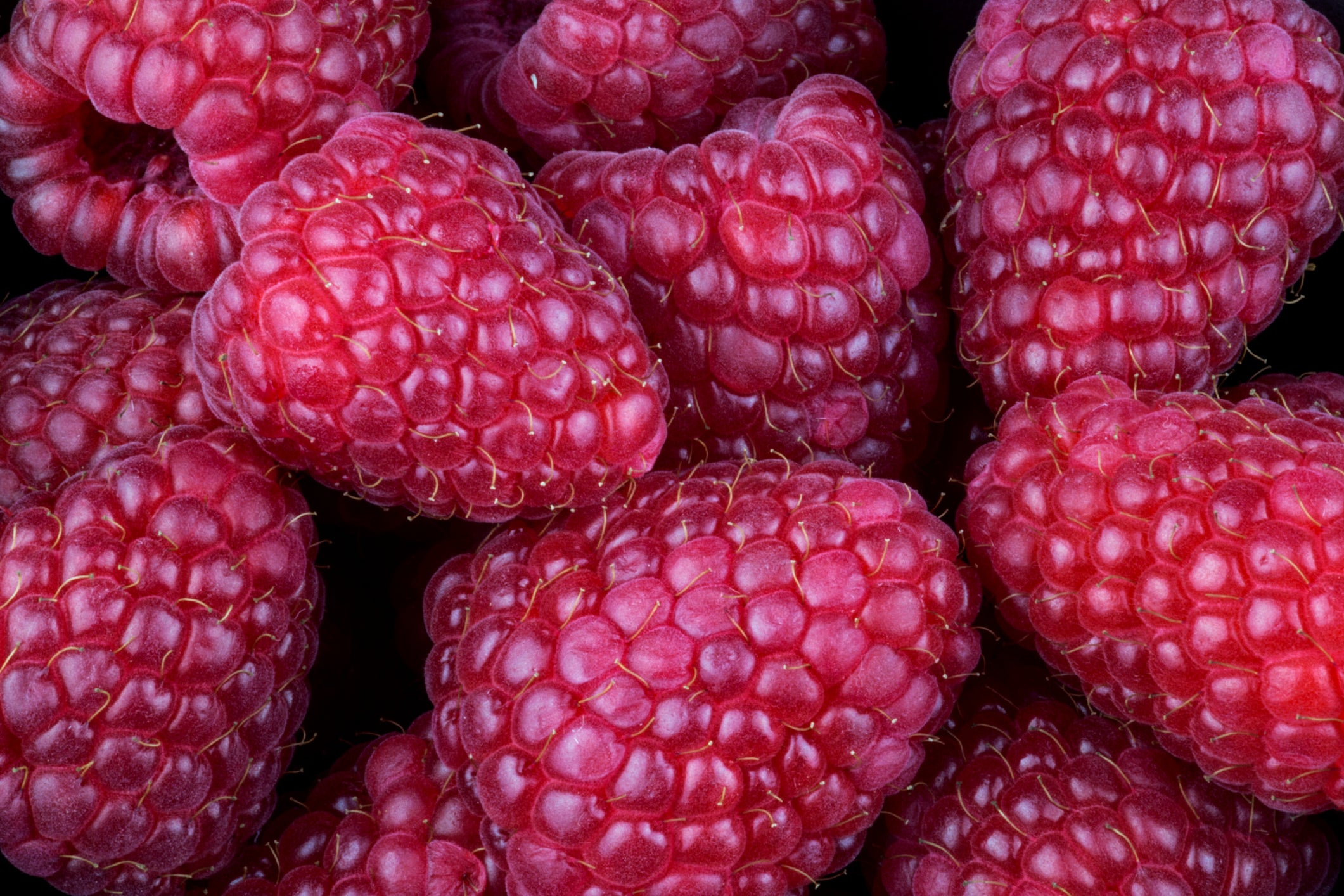 Raspberry Seed Oil