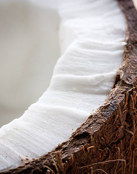 Coconut Oil