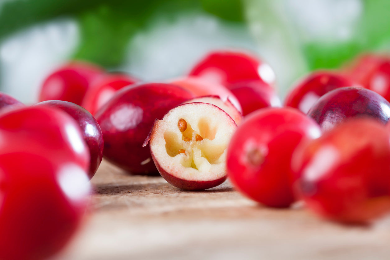 iStock-1310496612.jpg