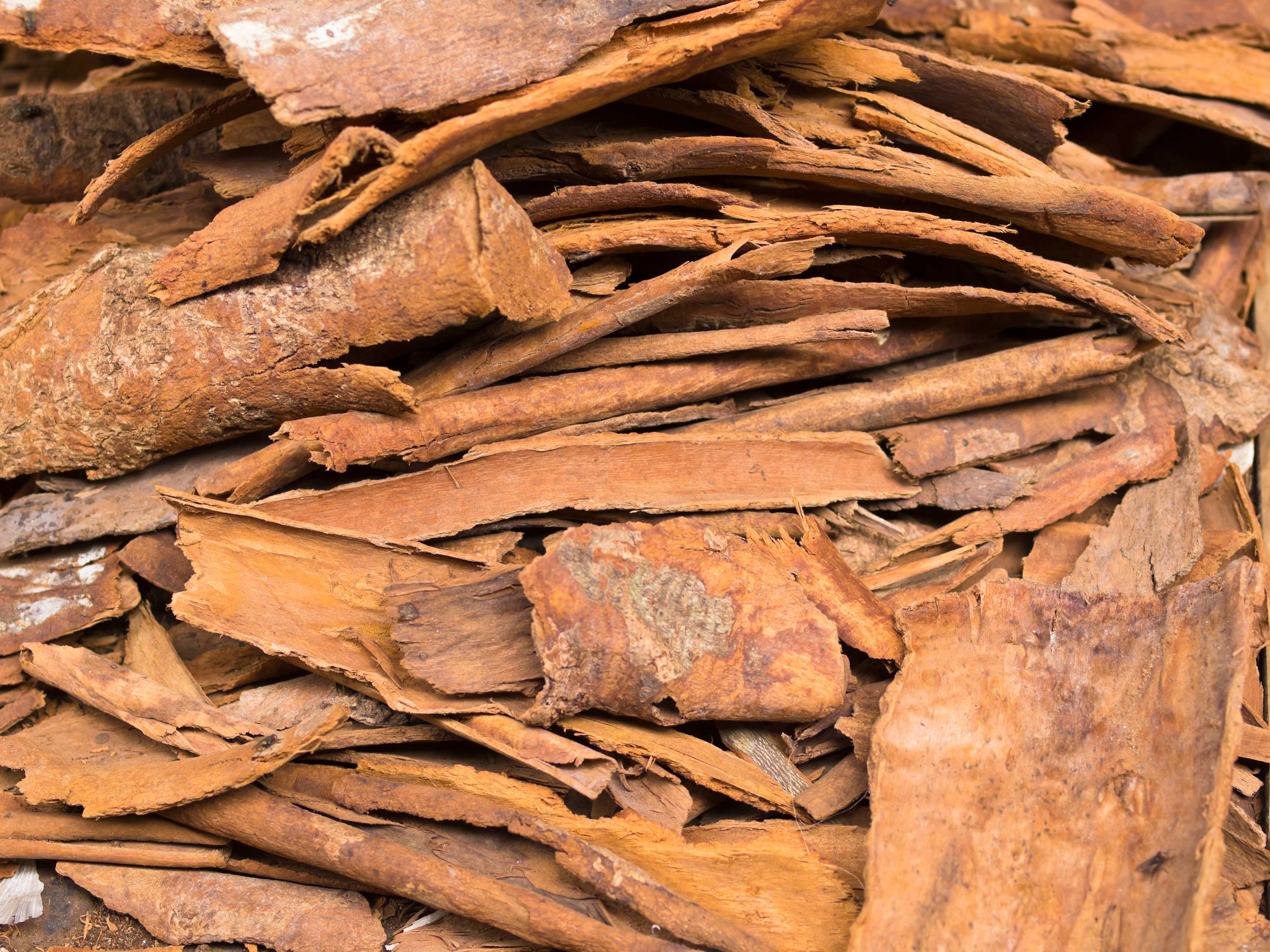 Cinnamon Bark Essential Oil