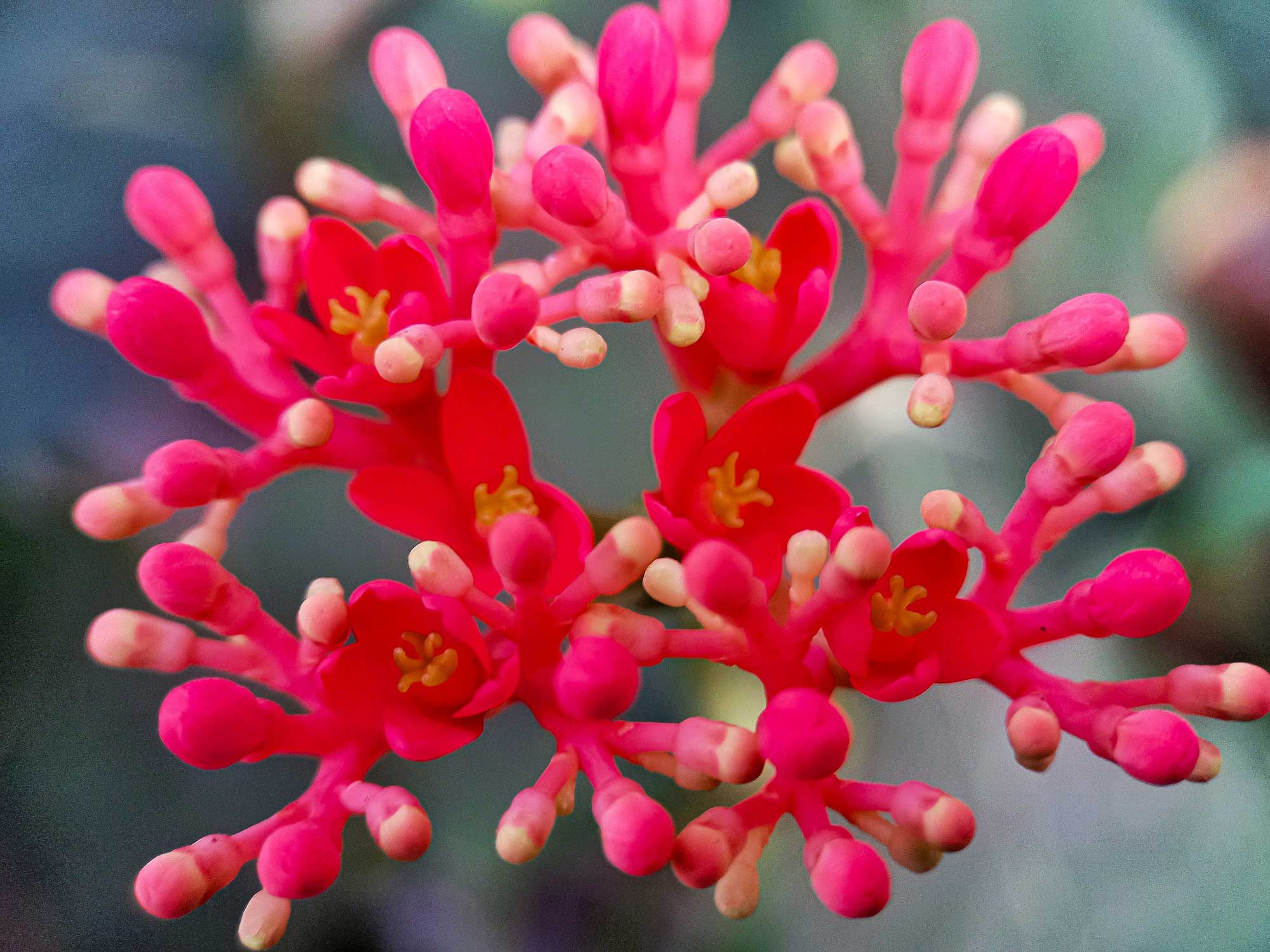 iStock-2154450838.jpg
