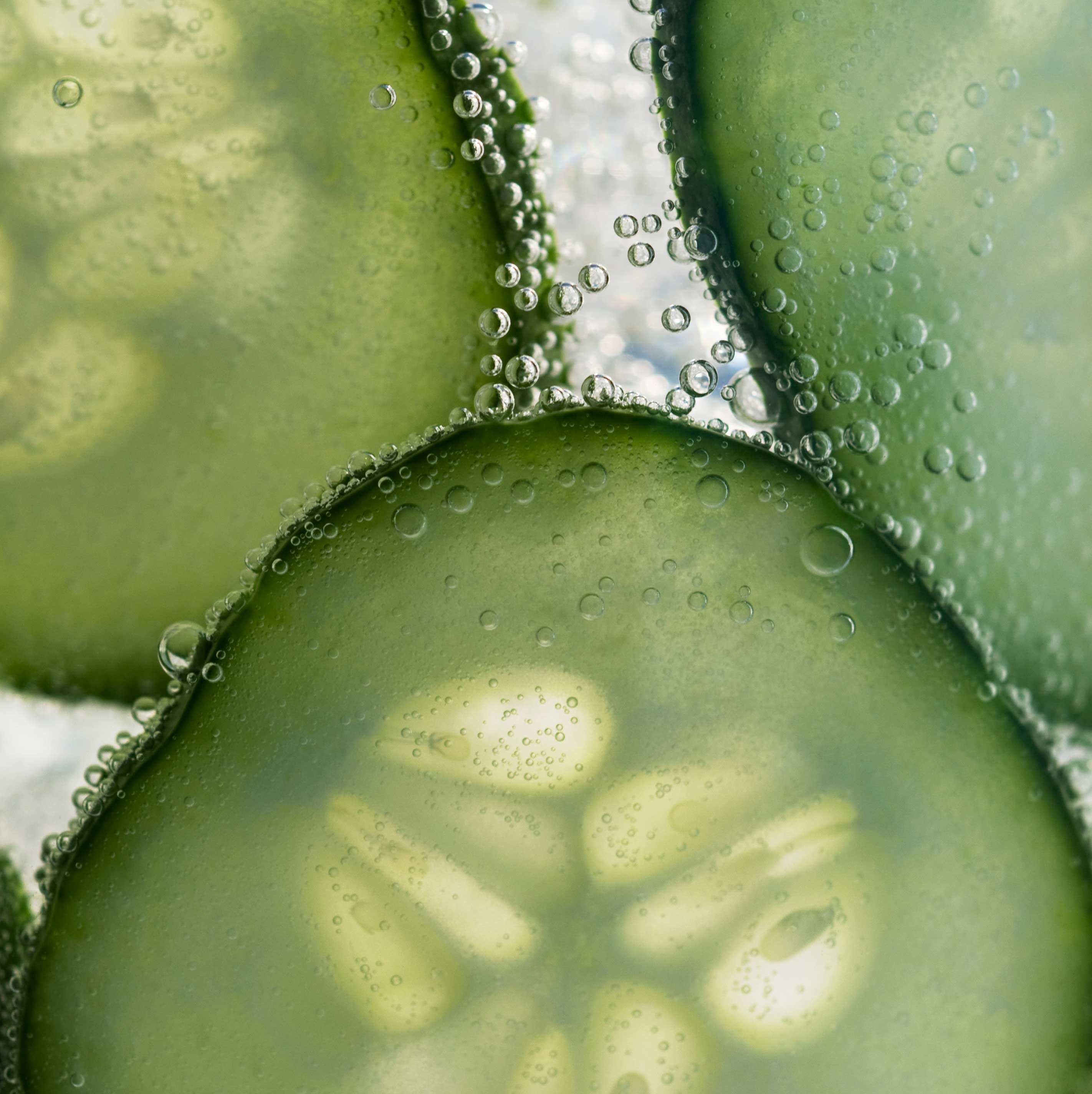 Cucumber Hydrosol Oil