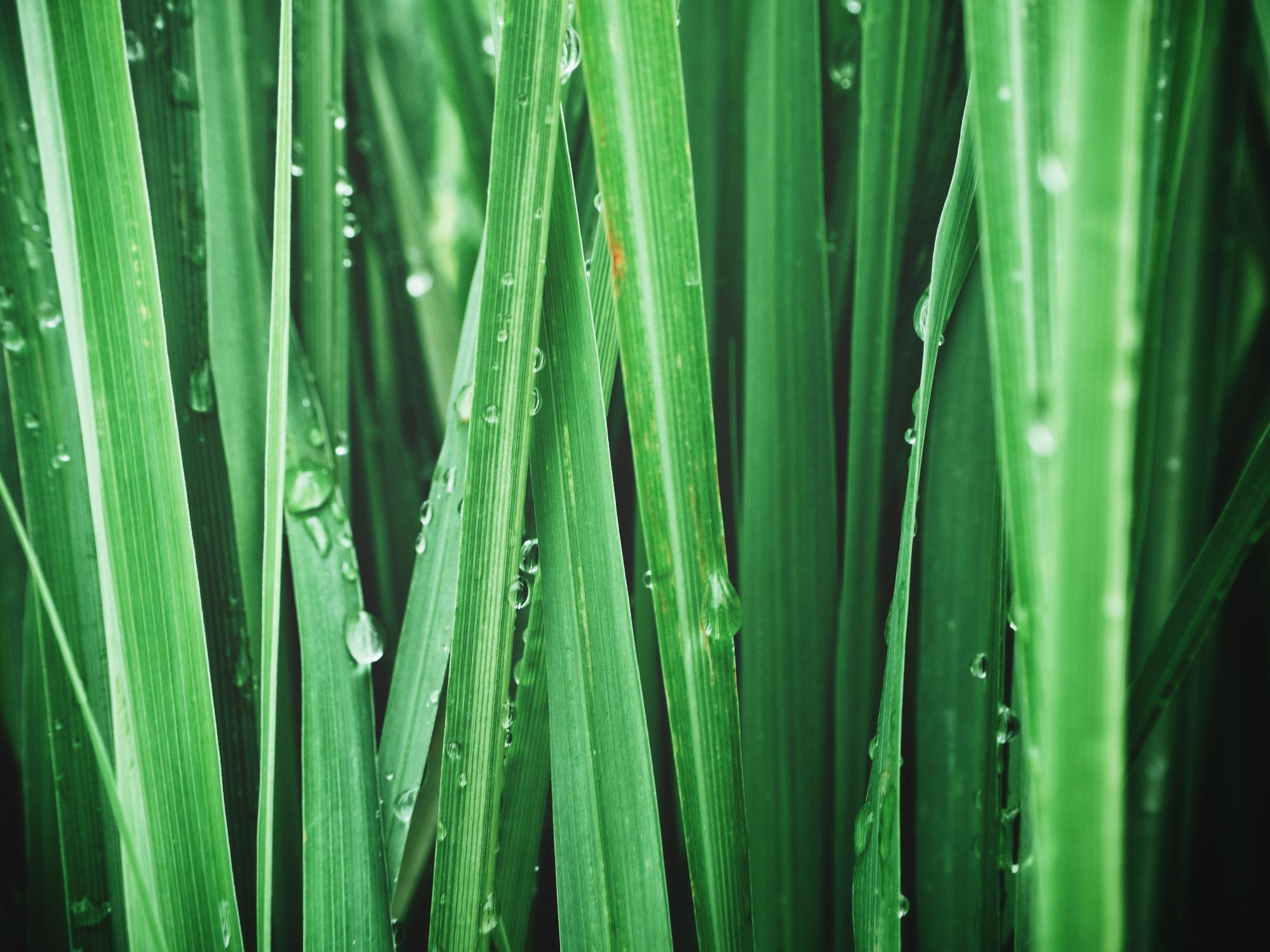 iStock-875103392.jpg