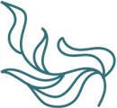 icon-sea-kelp.png