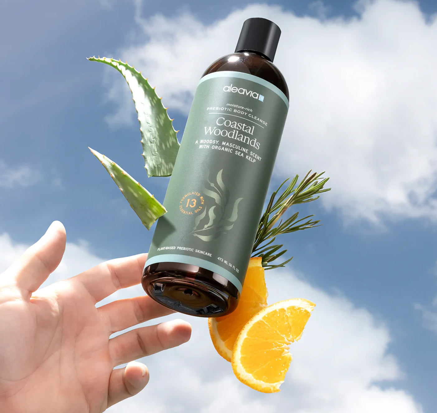 Coastal Woodlands Mens Body Cleanse | Prebiotic Body Wash – Aleavia